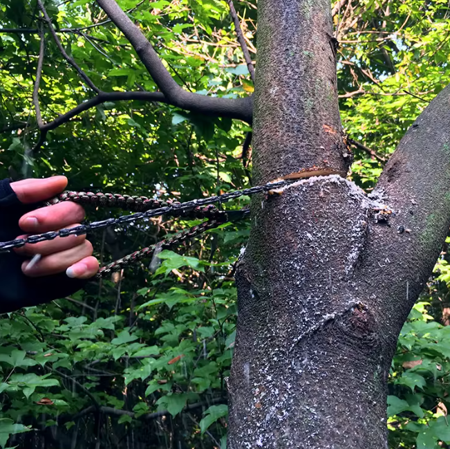 Compact Auger and Saw Kit